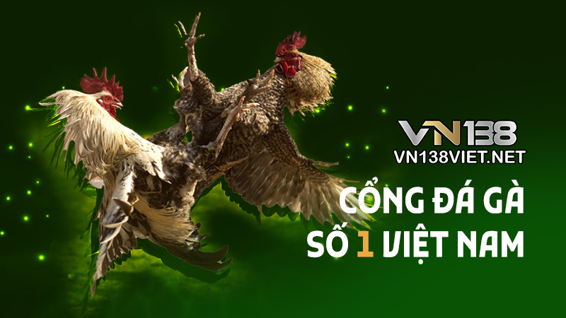 Đá gà VN138 - Cổng đá gà 138 số 1 Việt Nam
