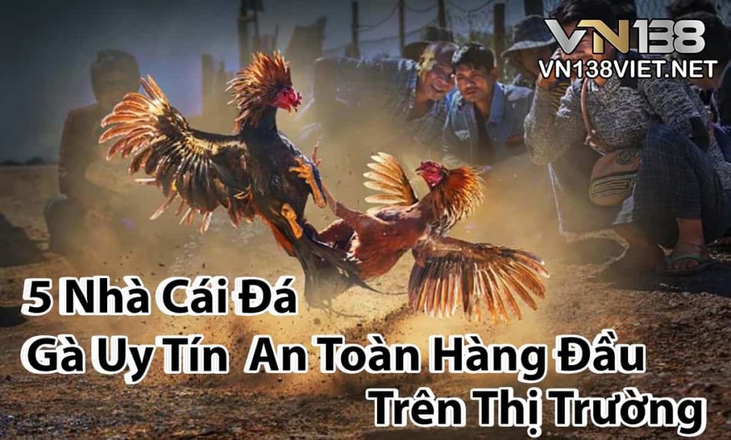 Nhà cái đá gà uy tín - Casino đá gà hàng đầu Việt Nam