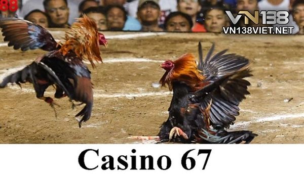 Casino 67 thomo