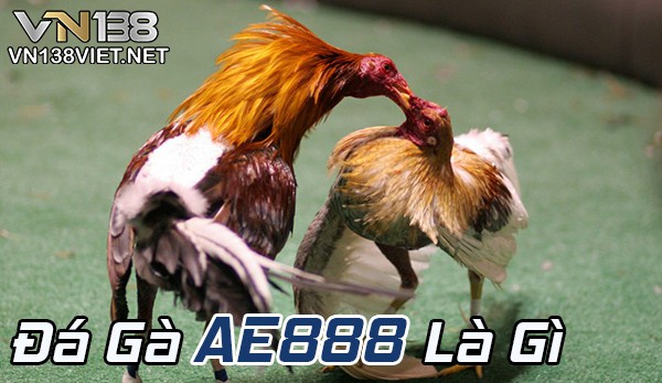 Đá gà AE888 là gì?